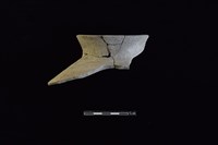 陶罐藏品圖，第1張